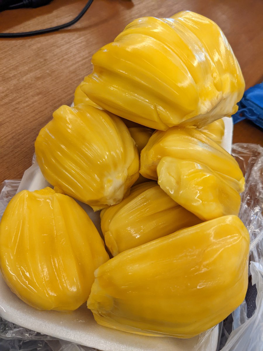 Si yellow ini good foor you. Good for me juga sih wkwkwkk