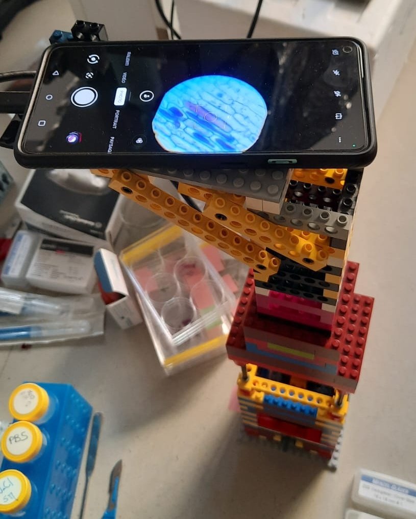 Ced_Blouin's tweet photo. And the microscope developed by @BetzLab ! https://t.co/M4EEUiqqeR