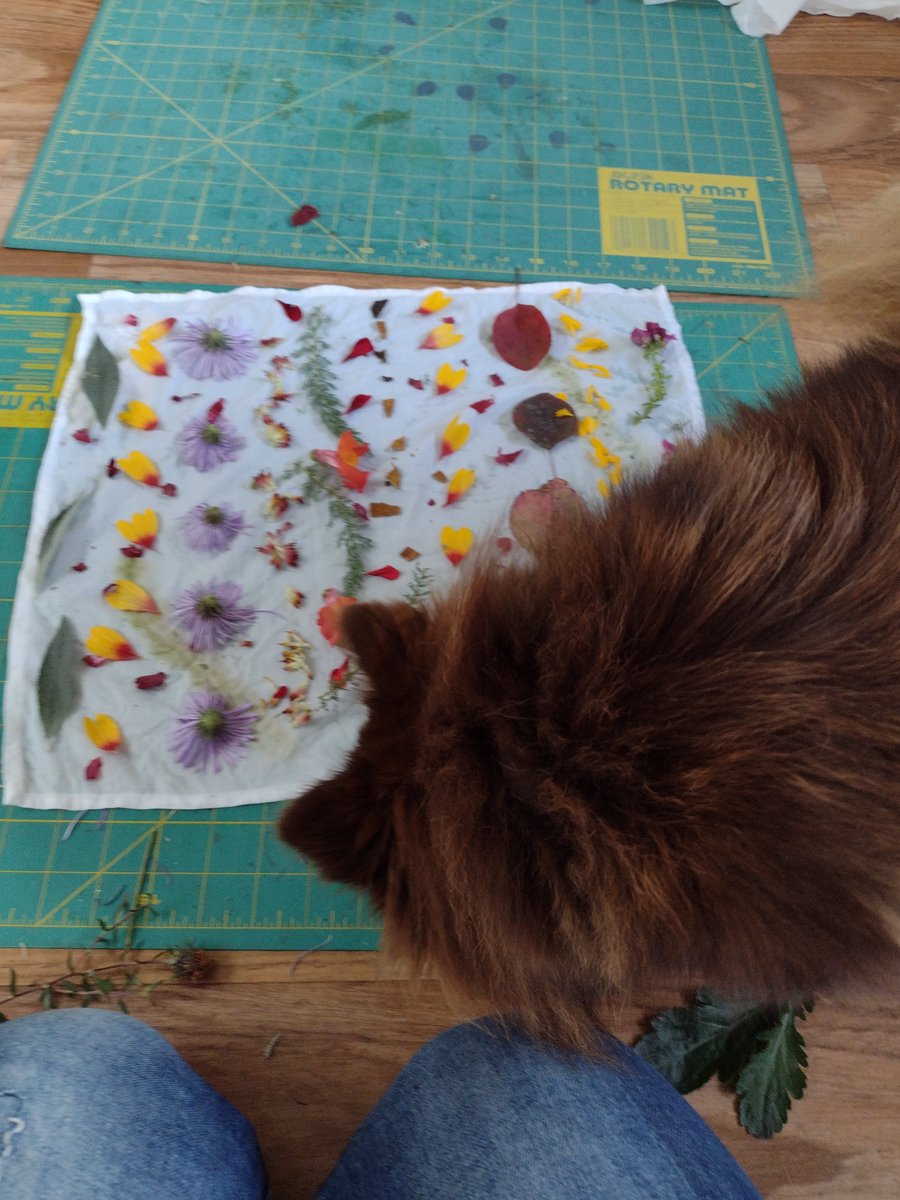 tamsyng's tweet photo. Spent the morning doing some Eco printing, while the flowers are still in bloom in the garden. One of these is pounded flowers producing a lovely print. The others I have wrapped and steamed...waiting to see how they turn out.
#ecoprinting #flowers #natureart #ecoart #flowerpower https://t.co/8OyZjfL5Z7