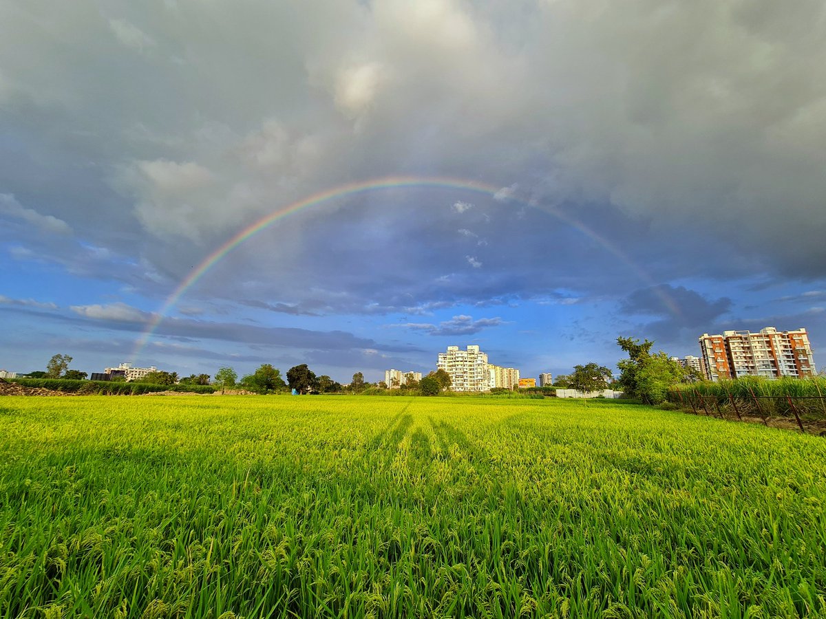 thelocalg's tweet photo. Today's evening was magical, This rainbow 🌈 spawning over the rice field looked so amazing 🤩
#rainbow #nature #pune #skyporn #sky #thelocalguide https://t.co/0VqYejJbKi