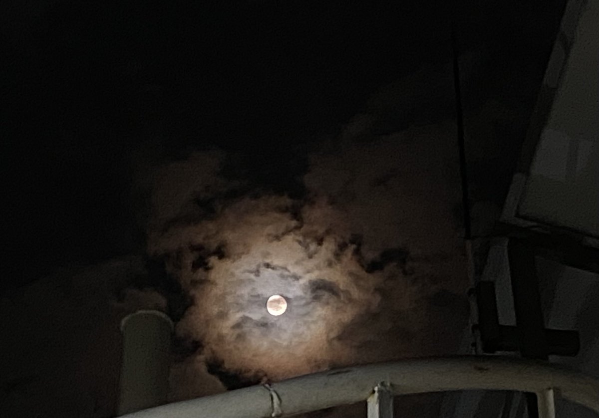 atul_natu's tweet photo. Sharad Poonam ni raat ma. #vadodara #ourvadodara https://t.co/bKwULqqMmz