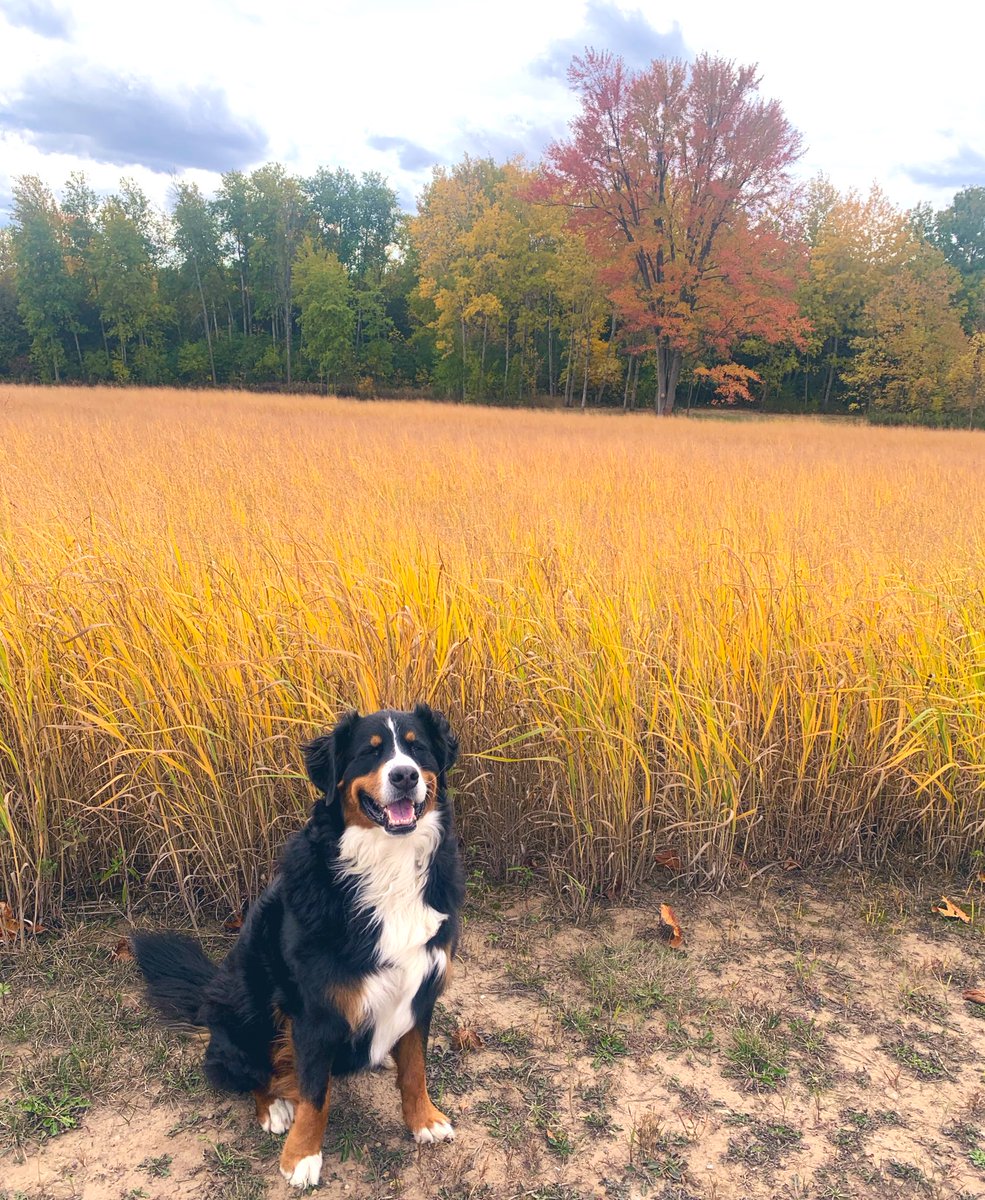 Happy Thanksgiving! Thankful to be spending it with loved ones at the family farm🍂🦃❤️