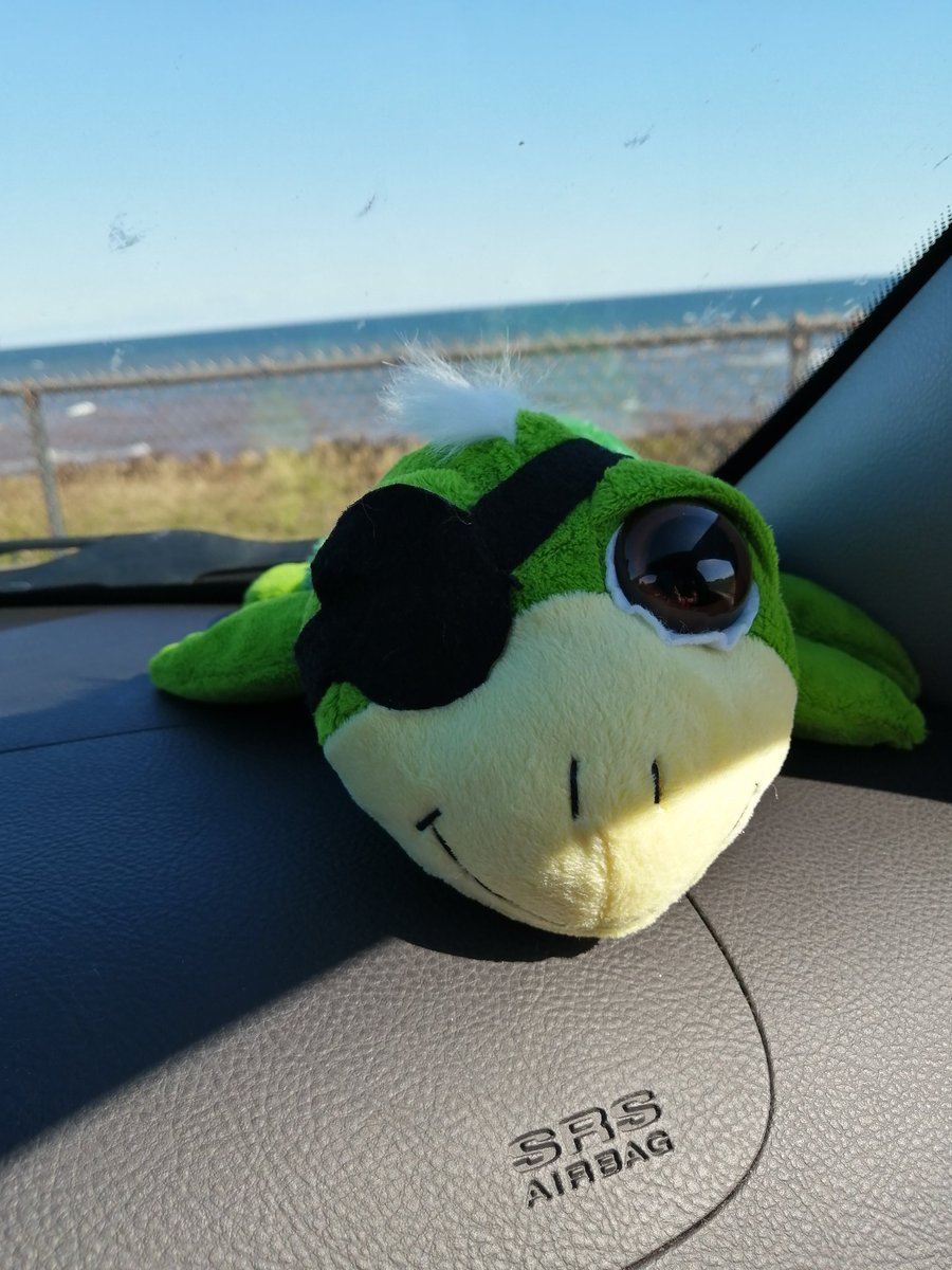 Manon Richardson tweet media