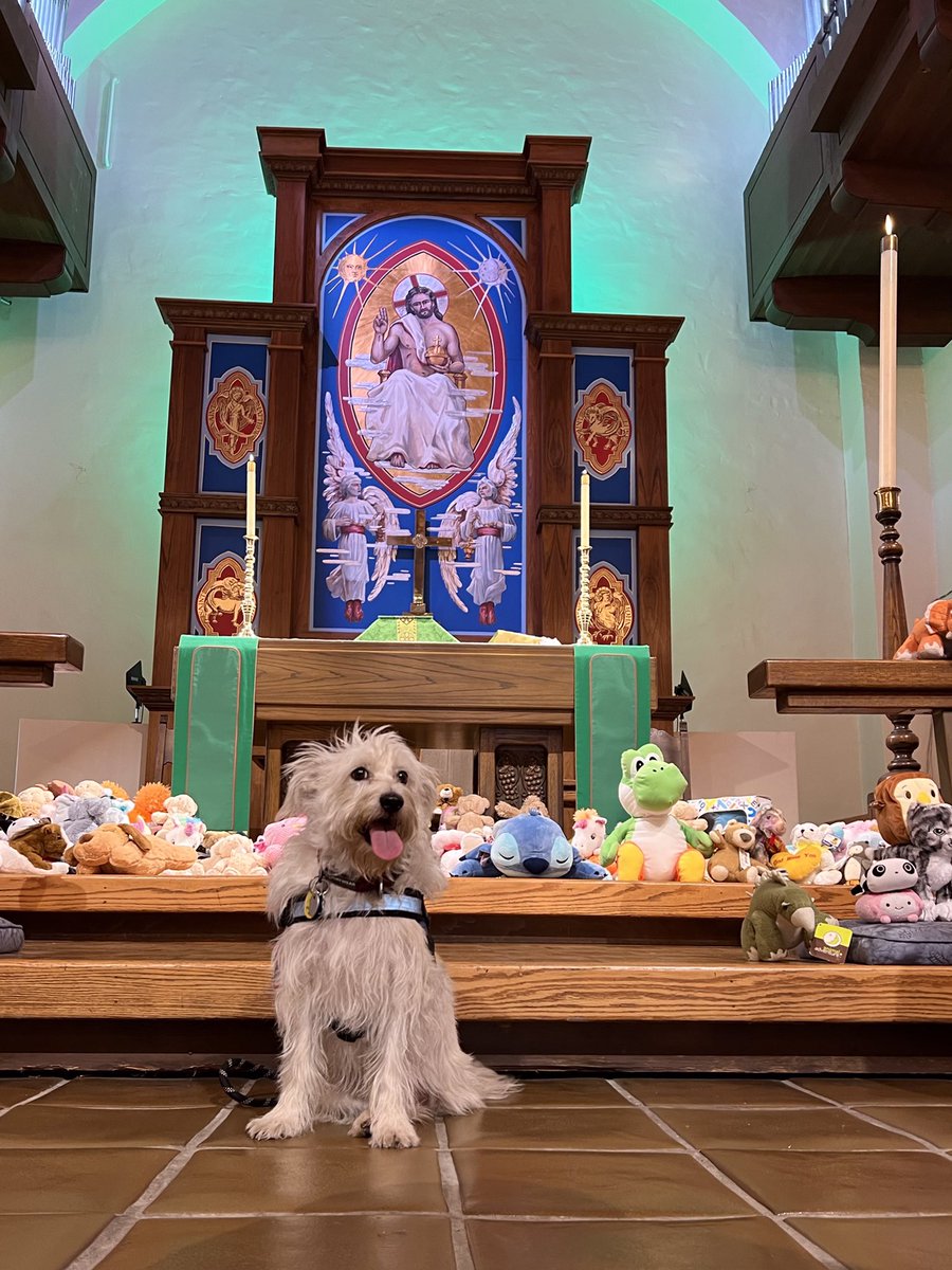 Trixie Tripod the therapy dog at St Luke’s -The Physician- Episcopal Church in Monrovia for the Blessing of the Animals. The stuffed toys go to The Martin Luther King Jr Pediatric Hub for the County of LA. They comfort children. #therapydog <a href="/TherapyDogsInt/">Therapy Dogs Int TDI</a> <a href="/NeverSettleTV/">Amy Zimmerman</a>
