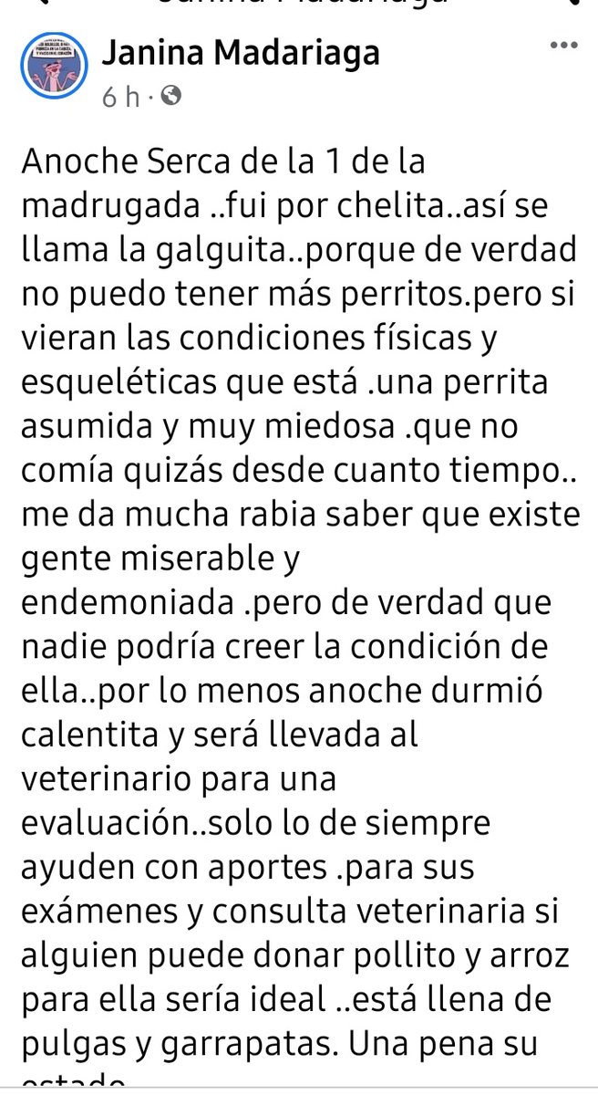 ver65's tweet photo. Este es el final que los #Galgueros dan a sus perros en este caso una hembra q ya le sacaron quizás cuantas camadas abandona a su suerte y en su cuerpo las señales del maltrato 
Por suerte hay gente q se compadece y los rescata y tienen q deshacer todo el daño q le han hecho https://t.co/ahLaNVPBeS