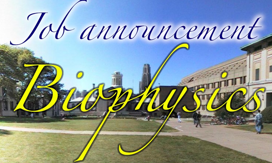MarkusDeserno's tweet photo. 📣 Big job announcement: @CarnegieMellon is searching for 3 (!) faculty in the areas of Cellular Biophysics and Quantitative Biology, a cluster hire to join @Physics_CMU, @CMU_Bio, and @CMUCompBio. Please spread the word! 

https://t.co/XJ0qml7scJ

Let me explain a a bit more: https://t.co/SbotW0czmL