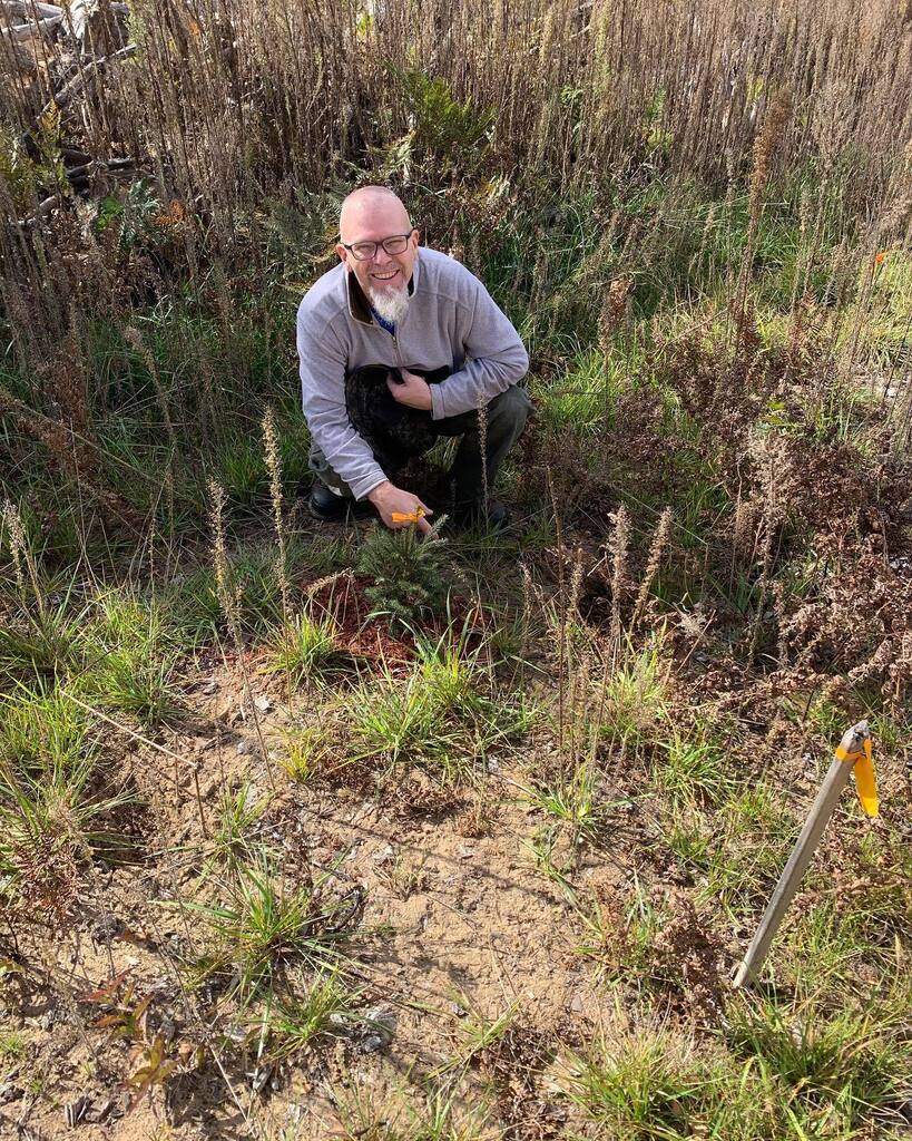 jcutler818's tweet photo. 37 holes…the amount of holes I dug this weekend. With my love of everything outdoors I planted 30 Norway Spruce and transplanted 7 White Spruce this weekend on our land in #northernmichigan, while #boondocking. https://t.co/kMFRKBKZtB https://t.co/PzYNckJPP7