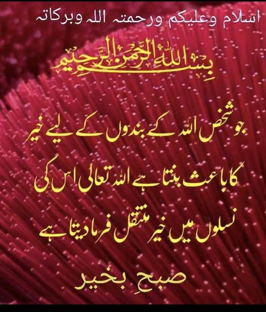 الصلوۃ والسلام علیک یارسول اللہﷺ
الصلوۃوالسلام علیک یاحبیب اللہﷺ
الصلوۃوالسلام علیک یارحمۃالعالمینﷺ
الصلوۃوالسلام علیک یاشفیع المزنبینﷺ
الصلوۃوالسلام علیک یاصادق الامینﷺ
الصلوۃوالسلام علیک یاخاتم النبینﷺ
#صلي_علي_النبي