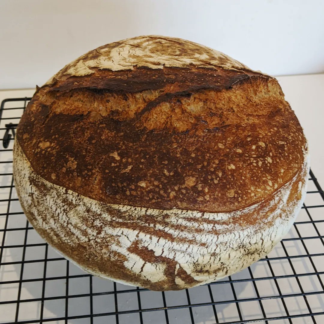 MFS (Massive Fucking Sourdough) alert.
#SundayBaking