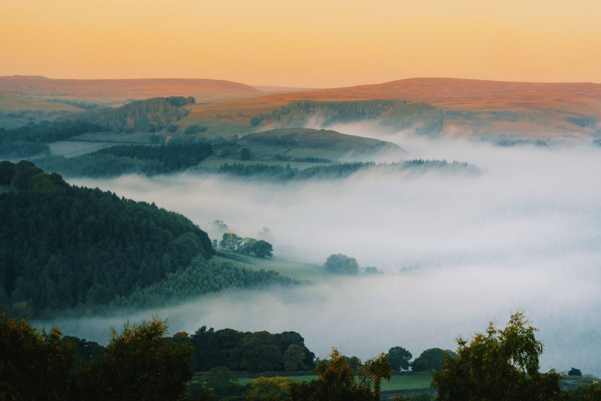 Daniel Casson tweet media