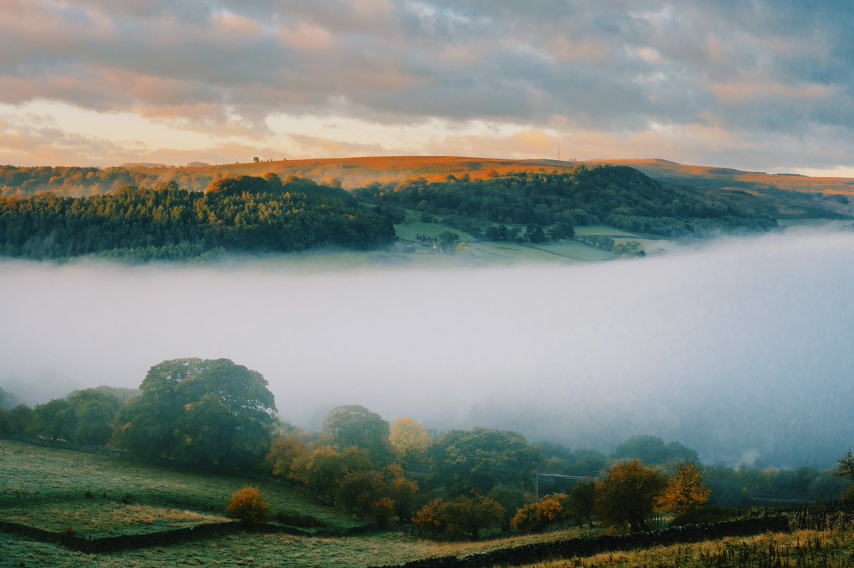 Daniel Casson tweet media