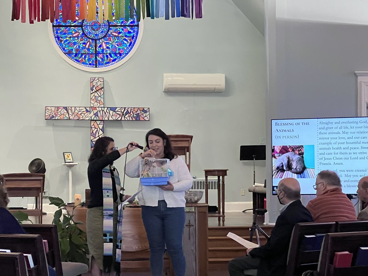 WeeKirk_CPC's tweet photo. Blessings of the Animals was so fun! We give thanks for the animals who bless us! #clarendonpresbyterianchurch #saintfrancisofassisi #PCUSA #blessingoftheanimals https://t.co/dAHg4TjOxi