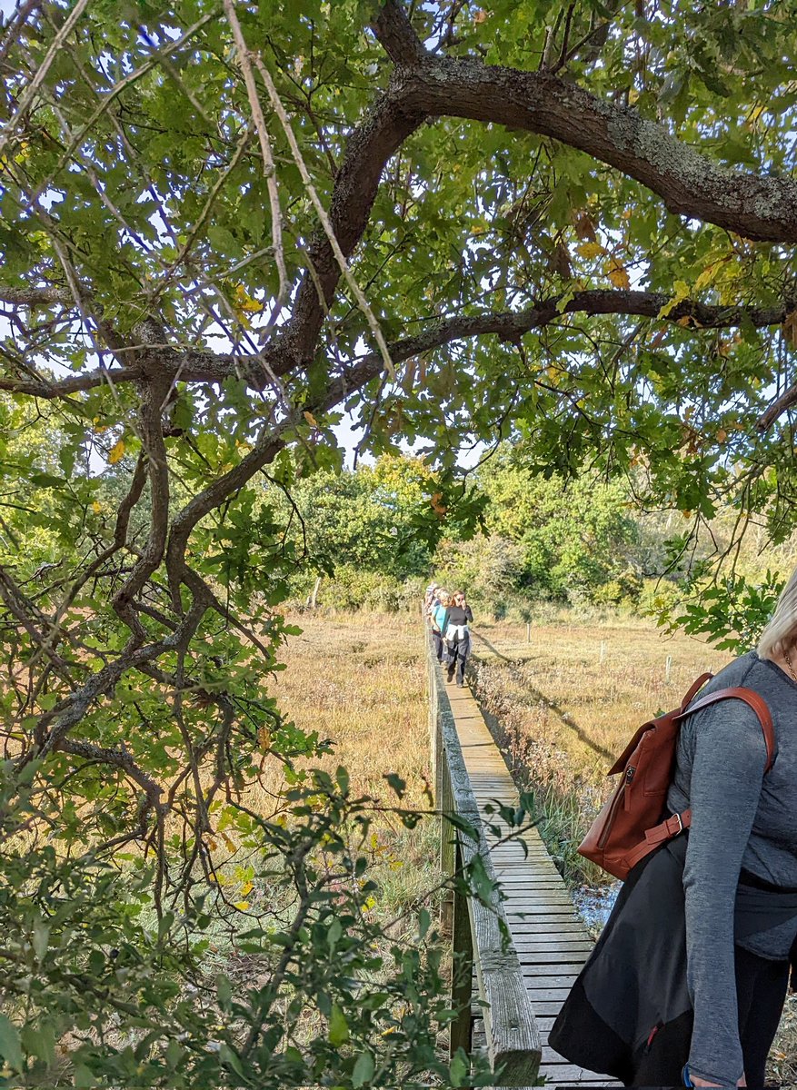 Camp Wight tweet media