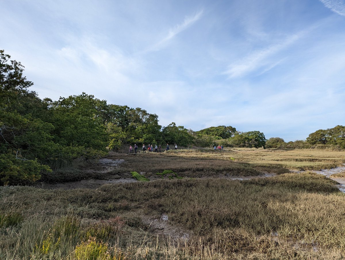 Camp Wight tweet media