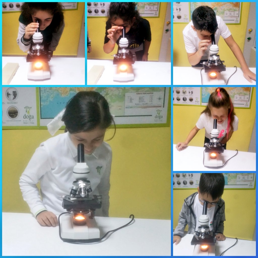 DogaScience's tweet photo. 5. sınıf öğrencilerimiz ile Bilimin Doğası dersimizde Mikroskobu İnceliyoruz etkinliğini gerçekleştirdik. Mikroskobun bölümlerini öğrendik ve inceleme yaptık. @serhatdnzks @DogaBeykent @EnisEryaman @mftufekci @DogaOkullari https://t.co/uXodXJq6cz