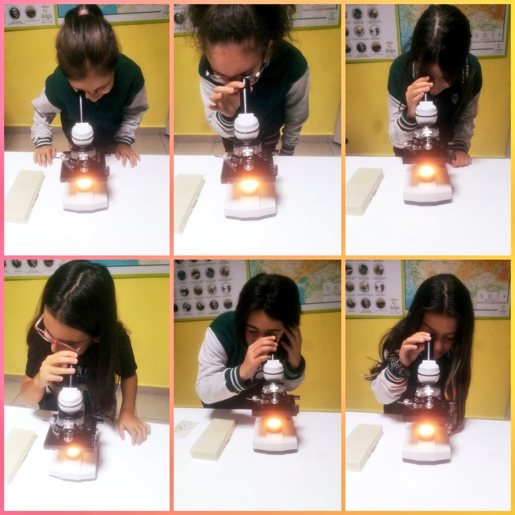 DogaScience's tweet photo. 5. sınıf öğrencilerimiz ile Bilimin Doğası dersimizde Mikroskobu İnceliyoruz etkinliğini gerçekleştirdik. Mikroskobun bölümlerini öğrendik ve inceleme yaptık. @serhatdnzks @DogaBeykent @EnisEryaman @mftufekci @DogaOkullari https://t.co/uXodXJq6cz