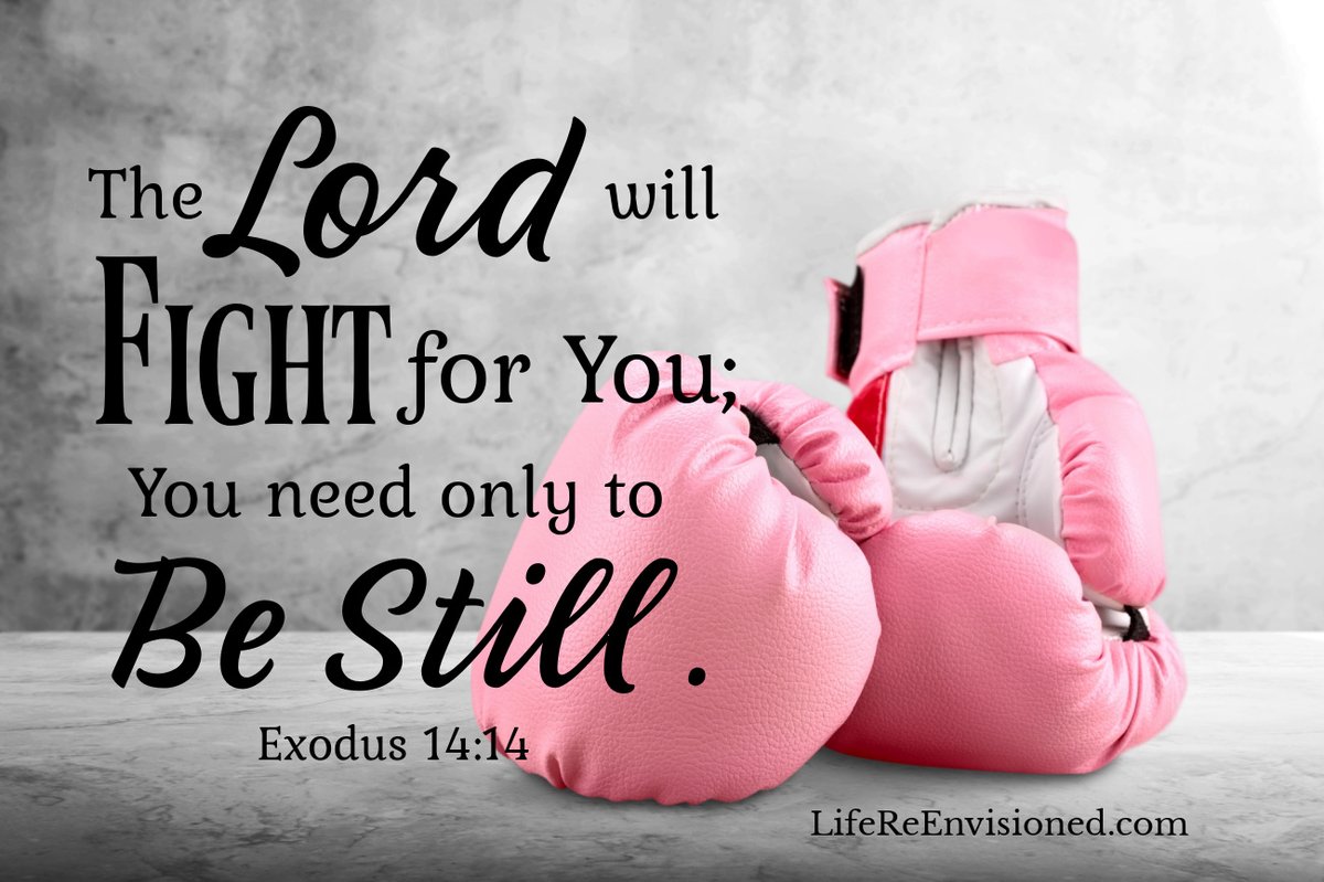LifeReEnvision1's tweet photo. It's such a comfort to know we don't have to fight our battles. If you are facing a cancer diagnosis, I encourage you to place this struggle in God’s hands and allow Him to fight the battle for you. #scripturesunday #BreastCancerAwareness https://t.co/iEYcK9jxpA