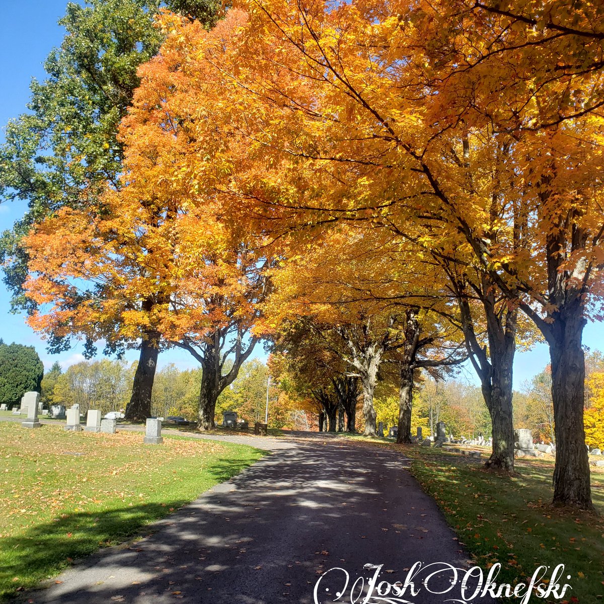 Josh on Twitter "I took these amazing images near the Bridge View