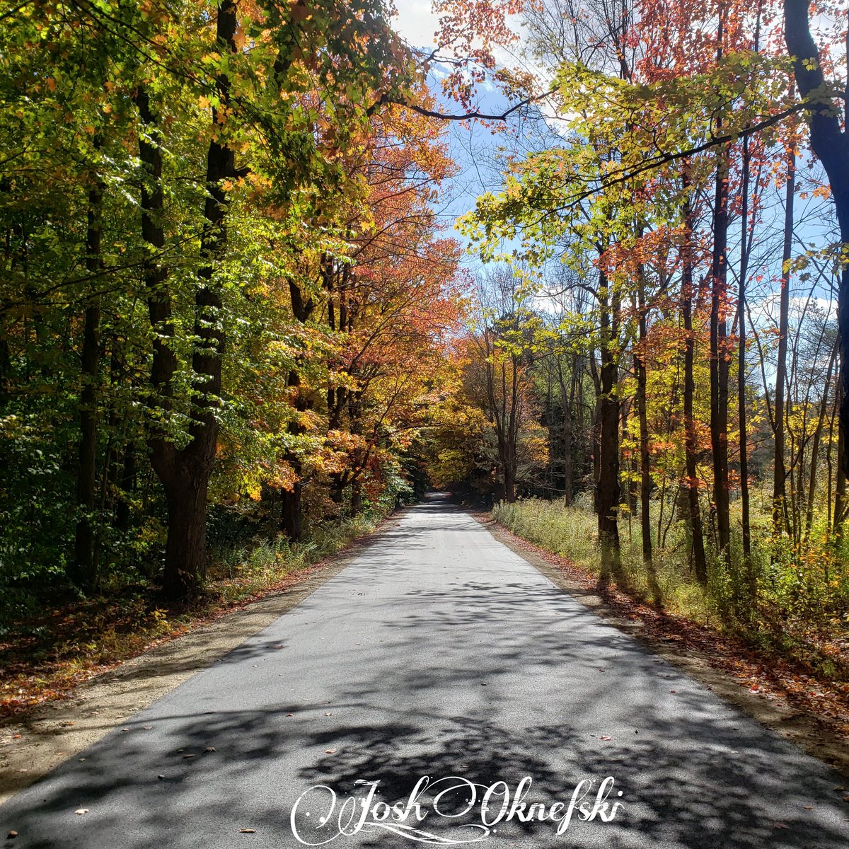 Josh on Twitter "I took these amazing images near the Bridge View