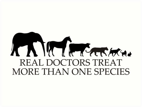 SaraThomasy's tweet photo. #Veterinarians are the ultimate comparative biologists! Physician colleagues - mad respect for what you do - but we have a lot to offer. Credit to @RobertPoppenga and numerous online sources. #veterinarymedicine #AcademicTwitter #OneHealth https://t.co/MUNeVl9kGX