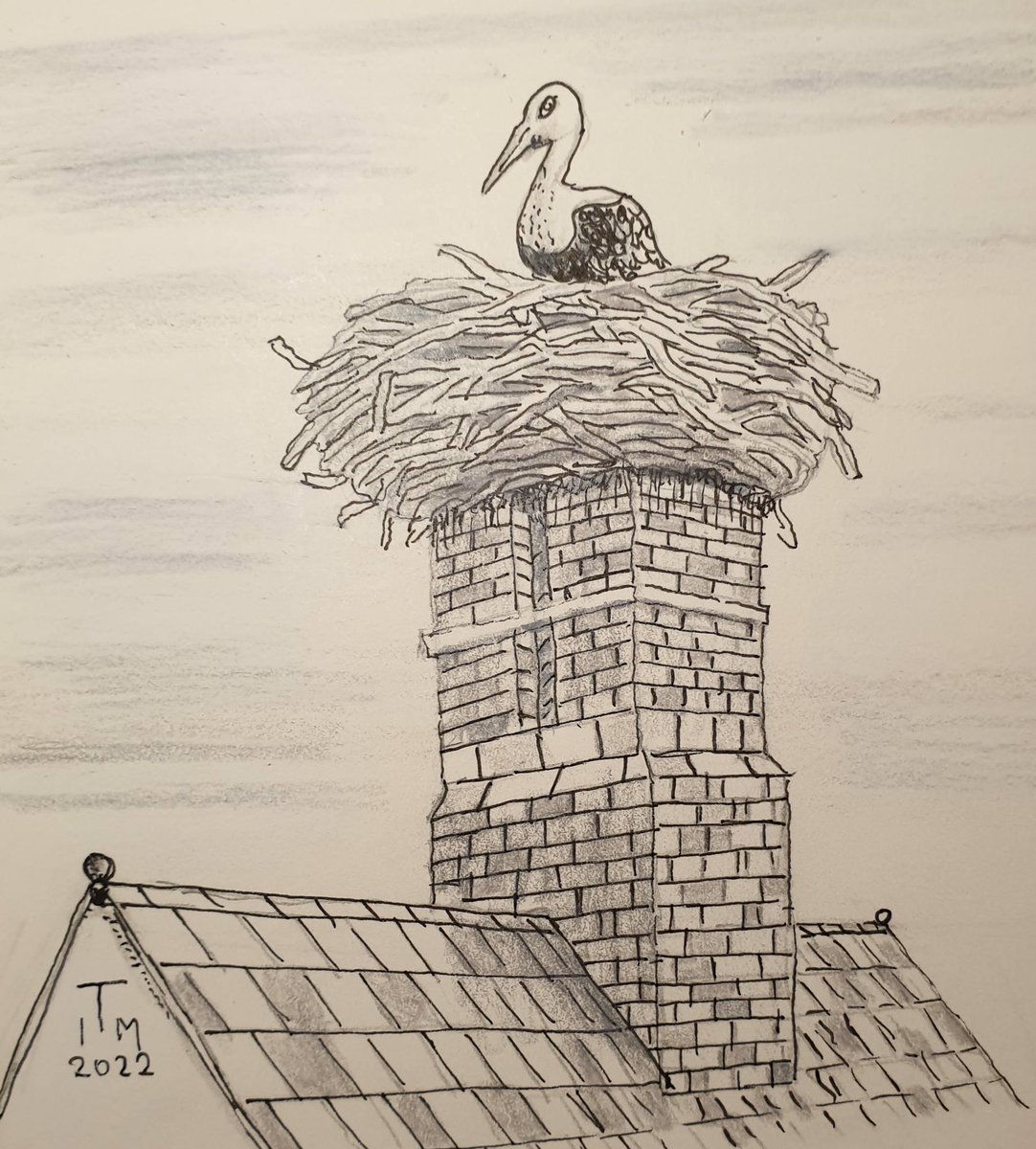 timfmilner's tweet photo. Day 9 Nest.
#inktober #inktober2022 
#nest https://t.co/zBQqyqyOSQ