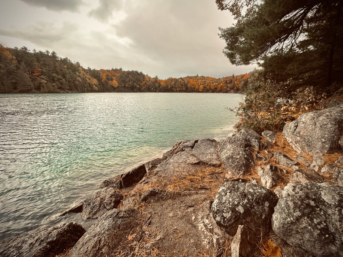 yannick_b's tweet photo. 18km run this morning with some great friends. 

Light rain made it it slippery and dramatic. 

#GatineauPark
#myOttawa
#fallcolors 
#trailrunning https://t.co/Edte6CyXkm
