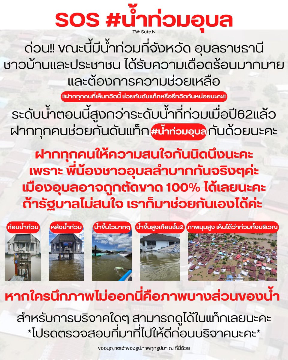 Sute.N tweet media