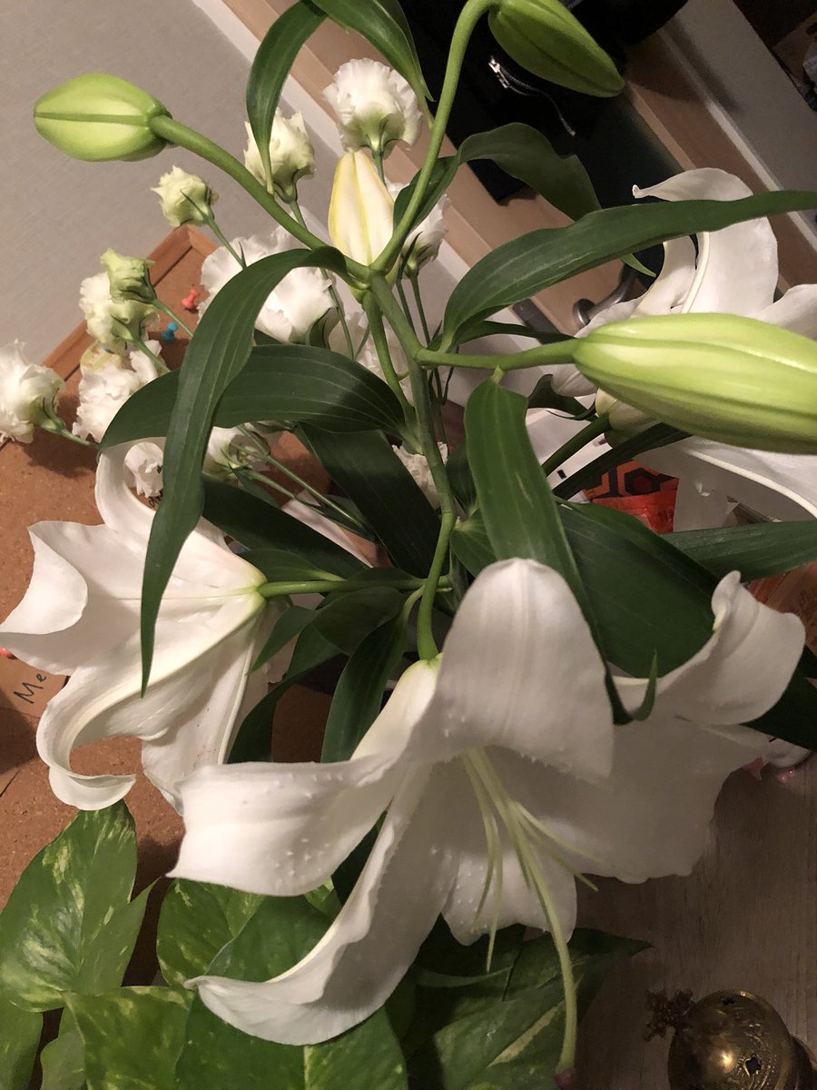 Flowers for Kim Jung Gi
<a href="/kimjunggi_jp/">キム・ジョンギ JP</a>