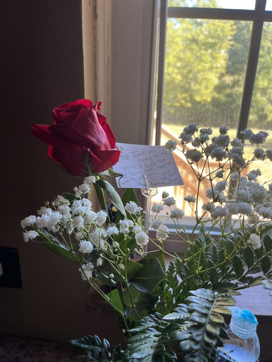 This weekend, I was in charge of our virtual hiring event! I had an absolute blast!! This rose and lovely note was at my desk Saturday morning. I appreciate you all. Thank you ❤️