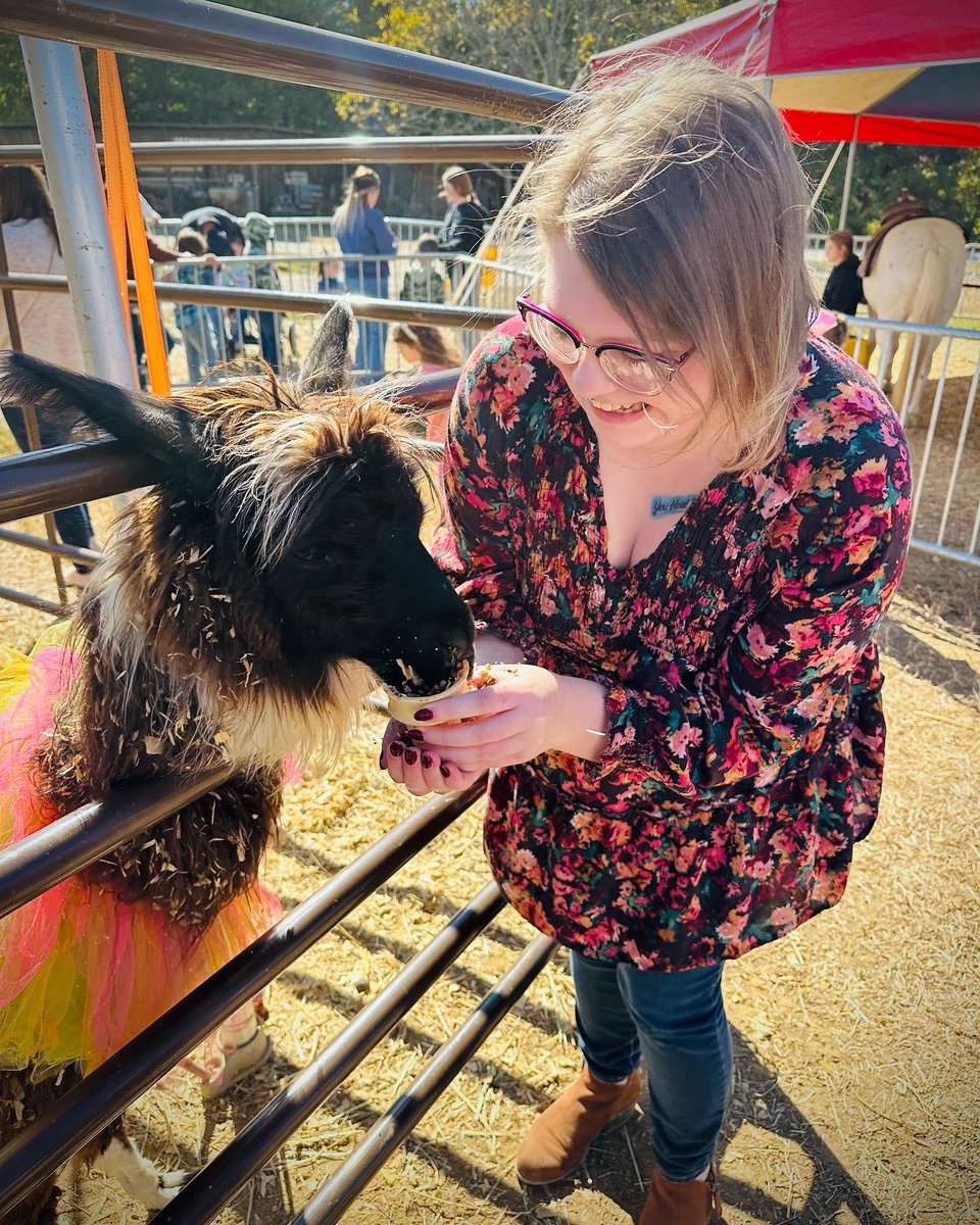 hayweenoelle's tweet photo. Obsessed 🦙🧡 https://t.co/zqvWTilTBL