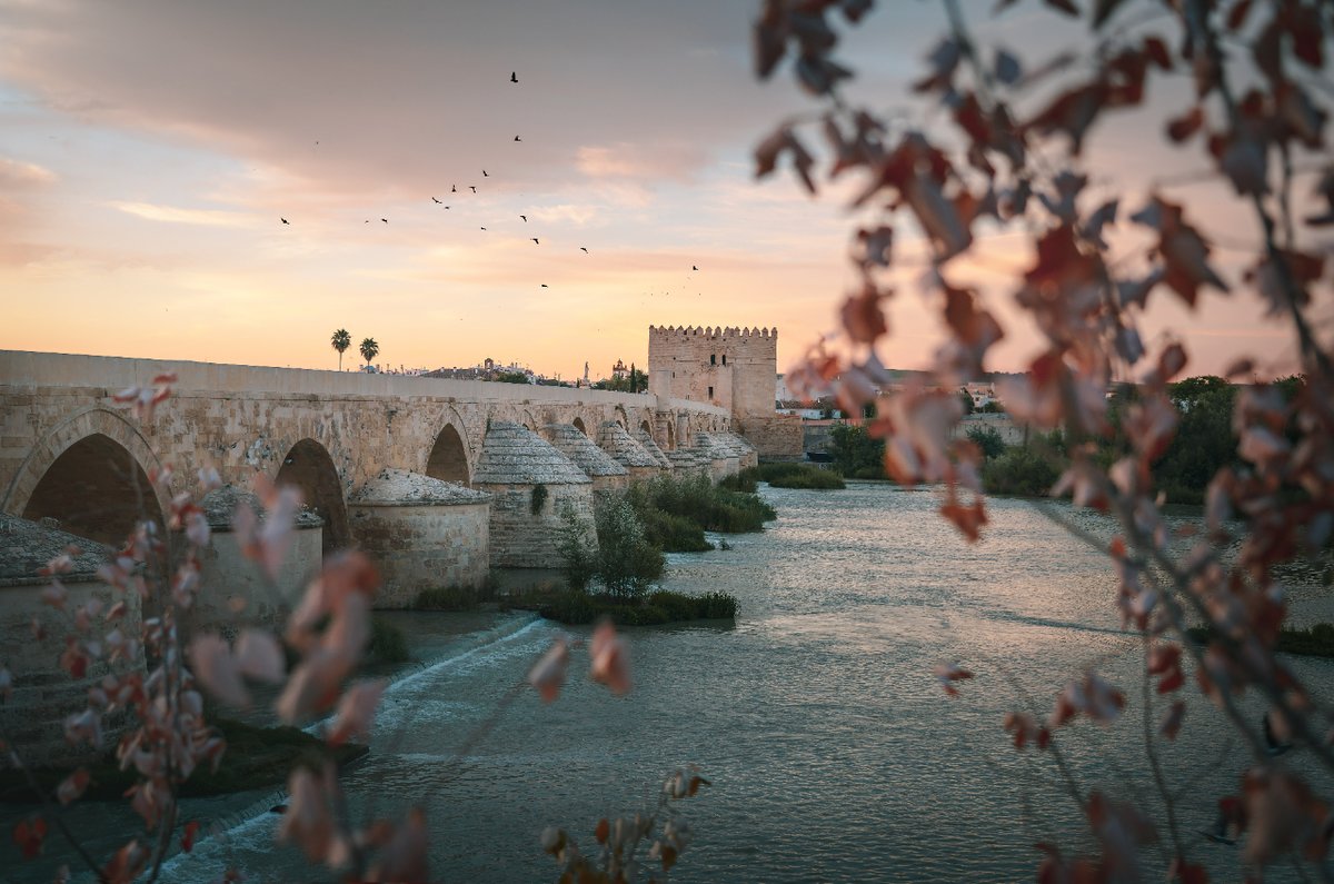 viveandalucia's tweet photo. Así son los atardeceres en Córdoba.

#DateUnaAlegria #ViveAndalucia #Andalucia https://t.co/Hx5cbUsbLS