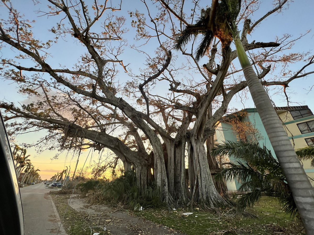 AlyssaLasater20's tweet photo. Calm after the storm. Florida is still beautiful! #staystrongflorida #florida https://t.co/Ktxvoi2pno