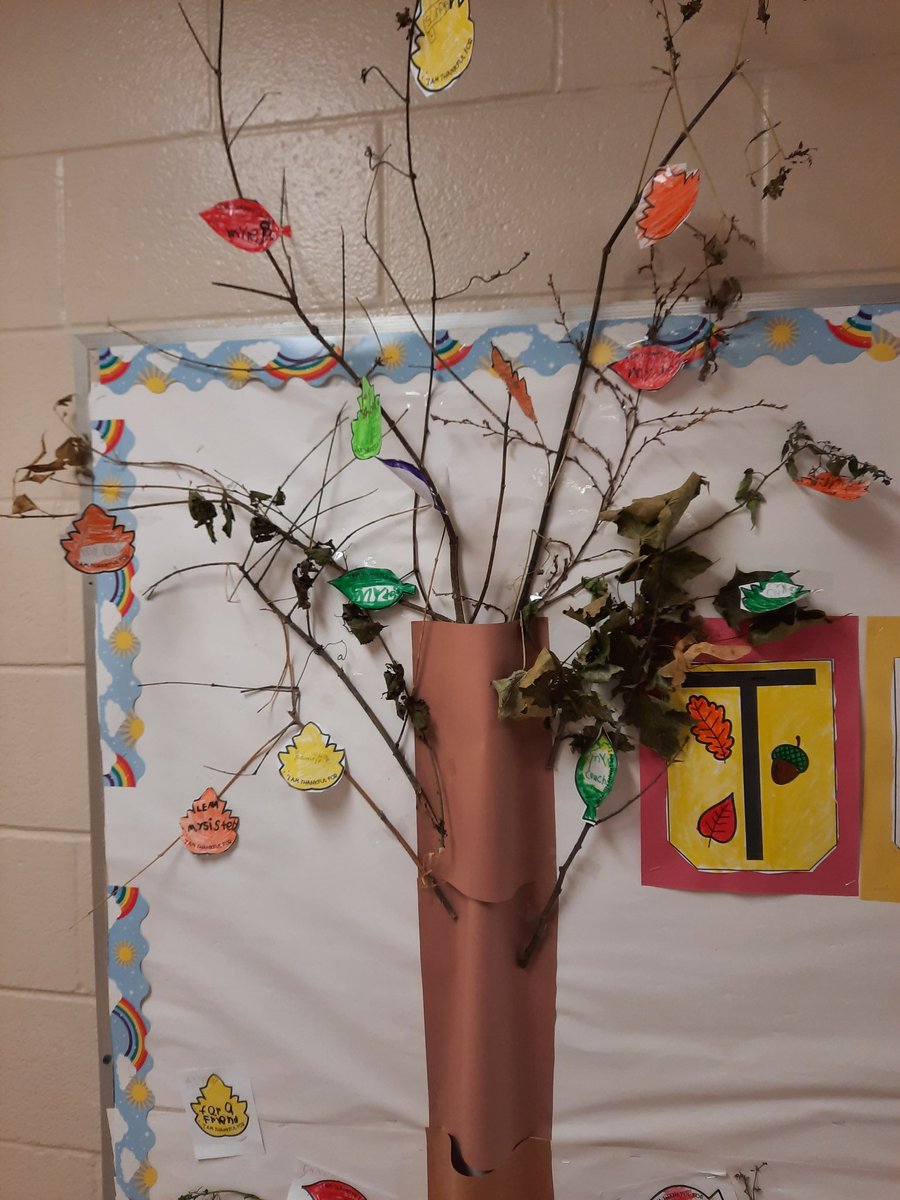 MGolts's tweet photo. Our  collaborative Thankful Tree helps remind us about all the amazing things we have and can be thankful for. @DixiePSchool #my family#mysister#mybrother#mydog#mylegs#mycouch#grade1ssaycutethings https://t.co/Jq6IS8vCKG