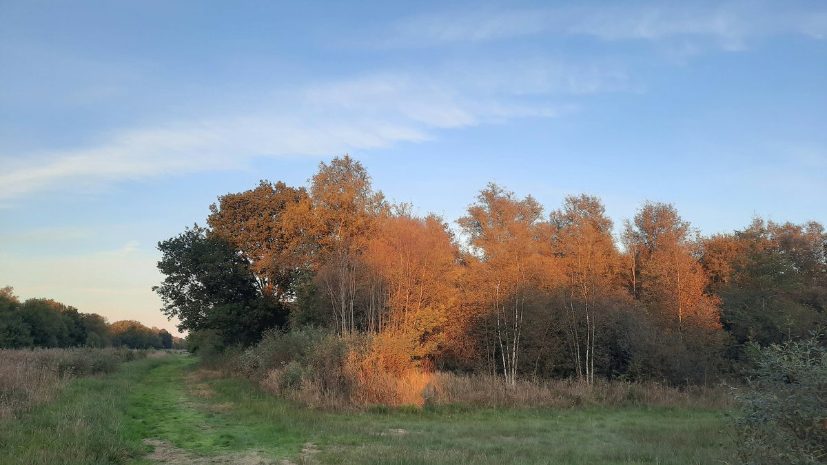klaaswillemb's tweet photo. The serene #sunset after a golden october (sun)day #easterskar #afterglow #sunsetlovers #zonsondergang #itfryskegea #landscapephotography https://t.co/6kjjckAs2c