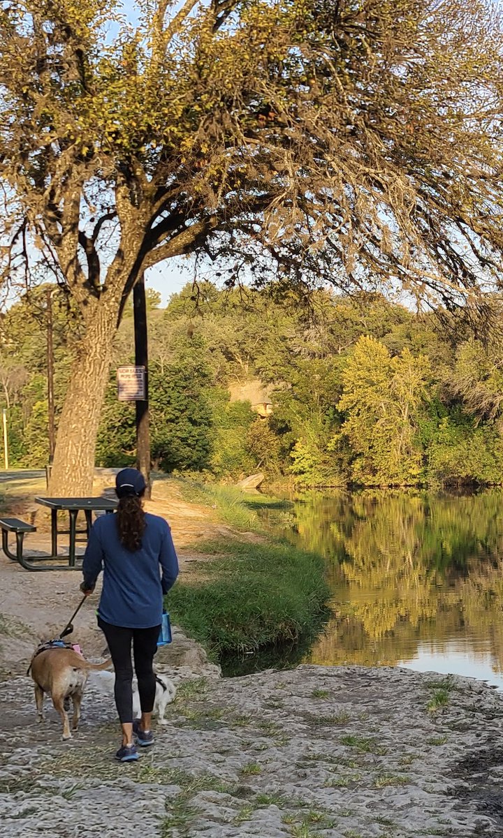 Here are some great places to walk dogs just outside of busy Austin Texas. #austin #austindogs #atx woofthebeatenpath.com/best-places-to…