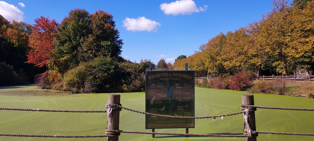 SANT⭕️S tweet media