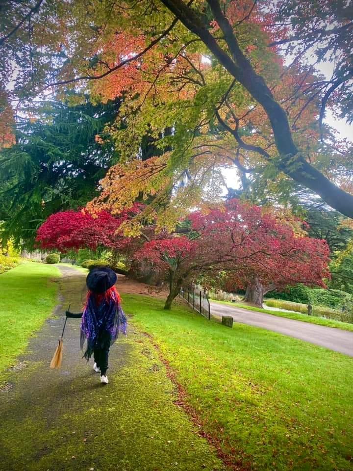 pike_kane's tweet photo. Witch Lylah🐈‍⬛... mushroom hunting @altontowers #scarefest #Mushrooms #AutumnVibes @LylahPike https://t.co/2fZ4Naz5RG