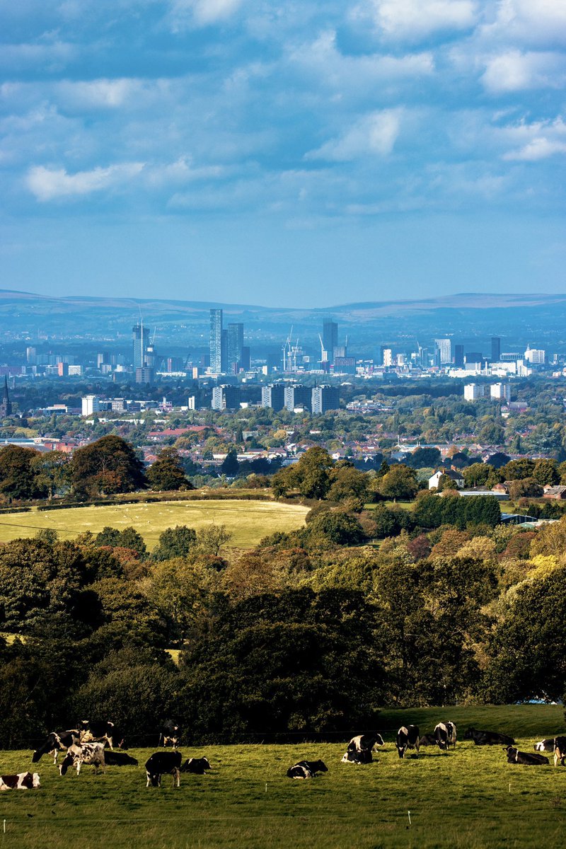 MancPictures's tweet image. Manchester from Lyme Park

📸 | @David_Spendlove