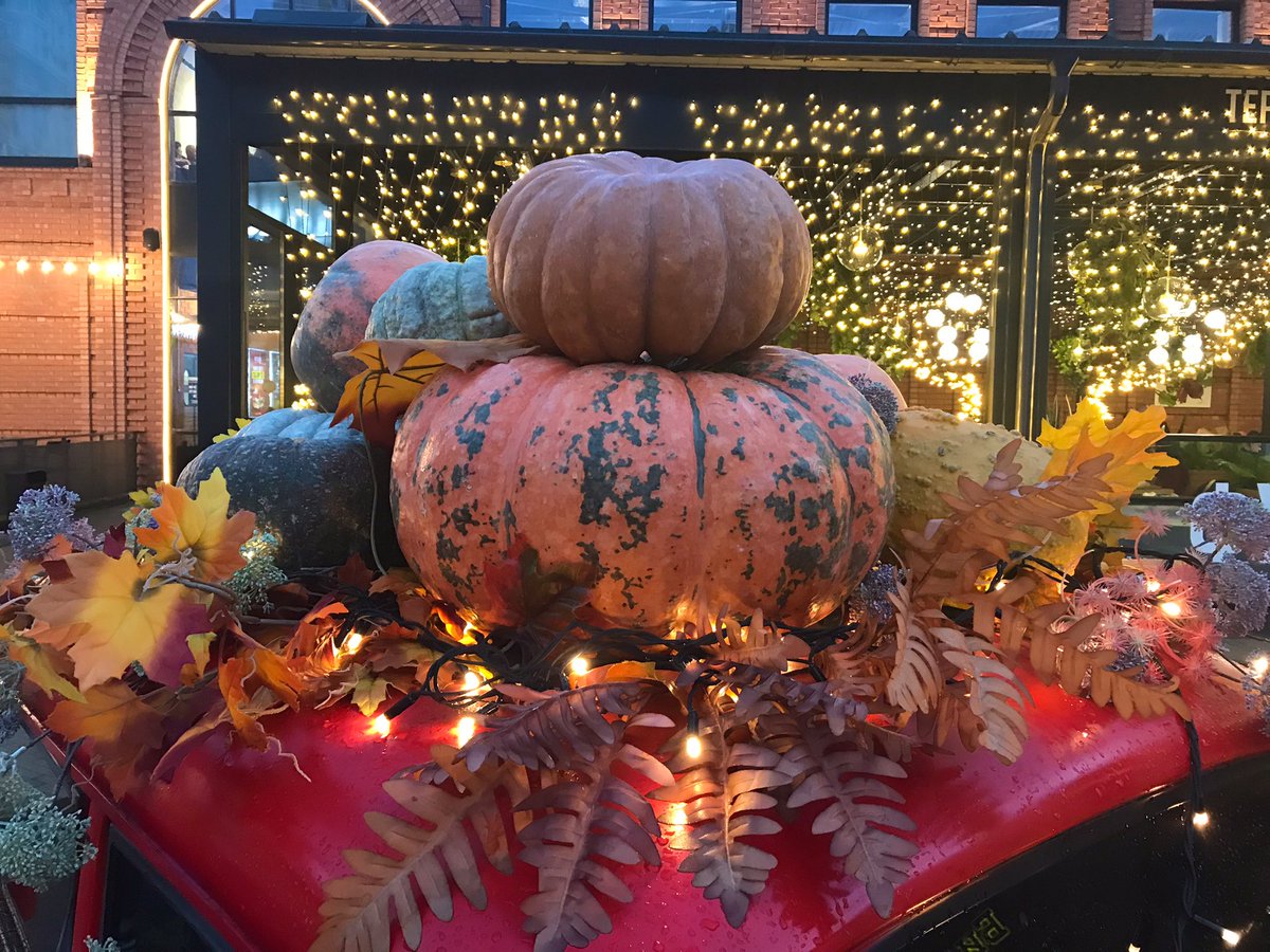 athephomis's tweet photo. October mood🧡 https://t.co/UBd9jS8qul