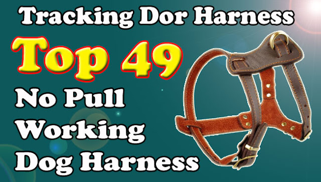 harnessbiner's tweet photo. Tracking Dog Harness leather | Real Leather Dog Harness | No Pull Working Dog Harness
Read More : https://t.co/sufEvM94zl
#petsafeplus #pets #dogs #petsupplies #dogharness #dogtraining #doglover #largedogharness https://t.co/ccSbX5ialB