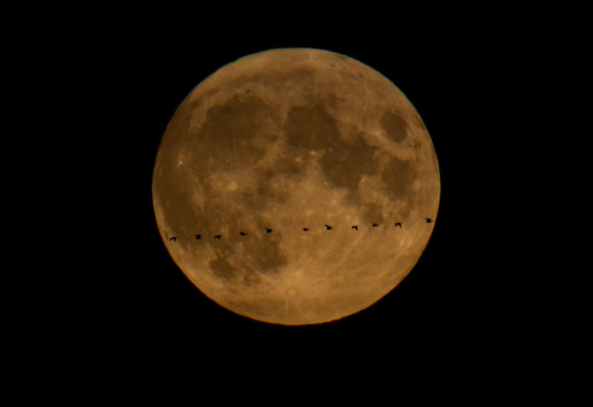 DPvanLoo's tweet image. De #maan van vanavond met wat figuranten die voorbij vlogen. 

#fullmoon #vollemaan #moon