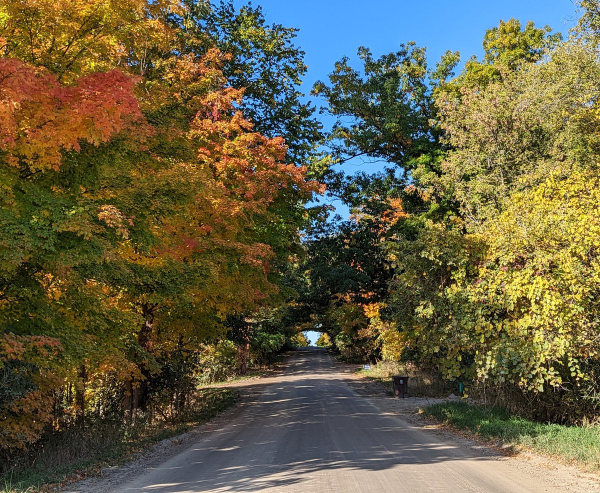 jeffxl24's tweet photo. A cool &amp; sunny 14 mile long run to start the day.  Colors starting to change along the dirt roads. Added in ~4 miles on the Preserve trails.  One week until the Detroit Freep International Half! https://t.co/Q3vCxgEBMw
