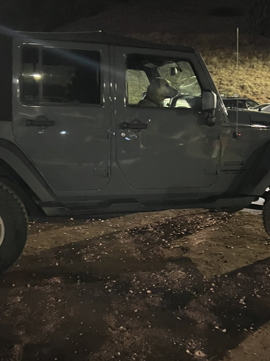 StateOf_Nature's tweet photo. Someone left their precious dog in the car during the show at Red Rocks last night. I was wearing thermals. Didn’t stick around to see who it was because I probably would have gone ballistic. Do better people https://t.co/Vr75wMTYj5