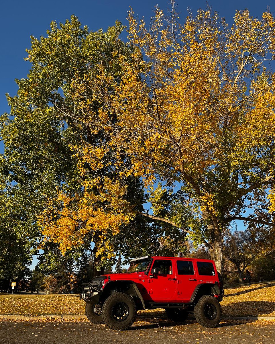 DJBrando97's tweet photo. Happy Thanks Giving Weekend!!!!! #ThanksgivingWeekend #fall #fallpics #jeep #jeepwrangler #Canada #alberta https://t.co/3bNGKlhMNP