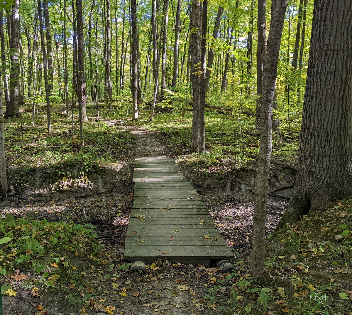 A cool &amp; sunny 14 mile long run to start the day.  Colors starting to change along the dirt roads. Added in ~4 miles on the Preserve trails.  One week until the Detroit Freep International Half!