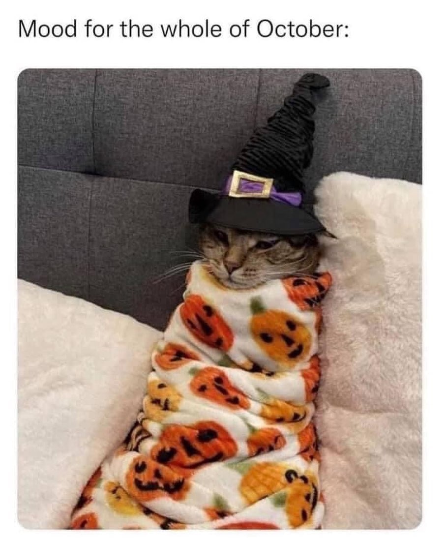 holiday_mindset's tweet photo. Just 22 days🎃🎃

📸 spookyvibes365

#Halloween2022 #Halloween #halloweencostume #Fall #Autumn #October https://t.co/pwnM2GGLQ8