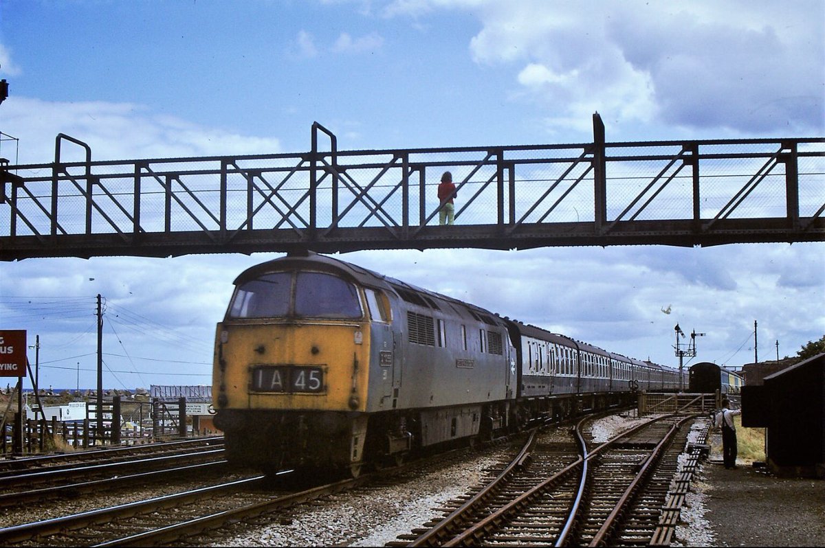 class 50 tweet media