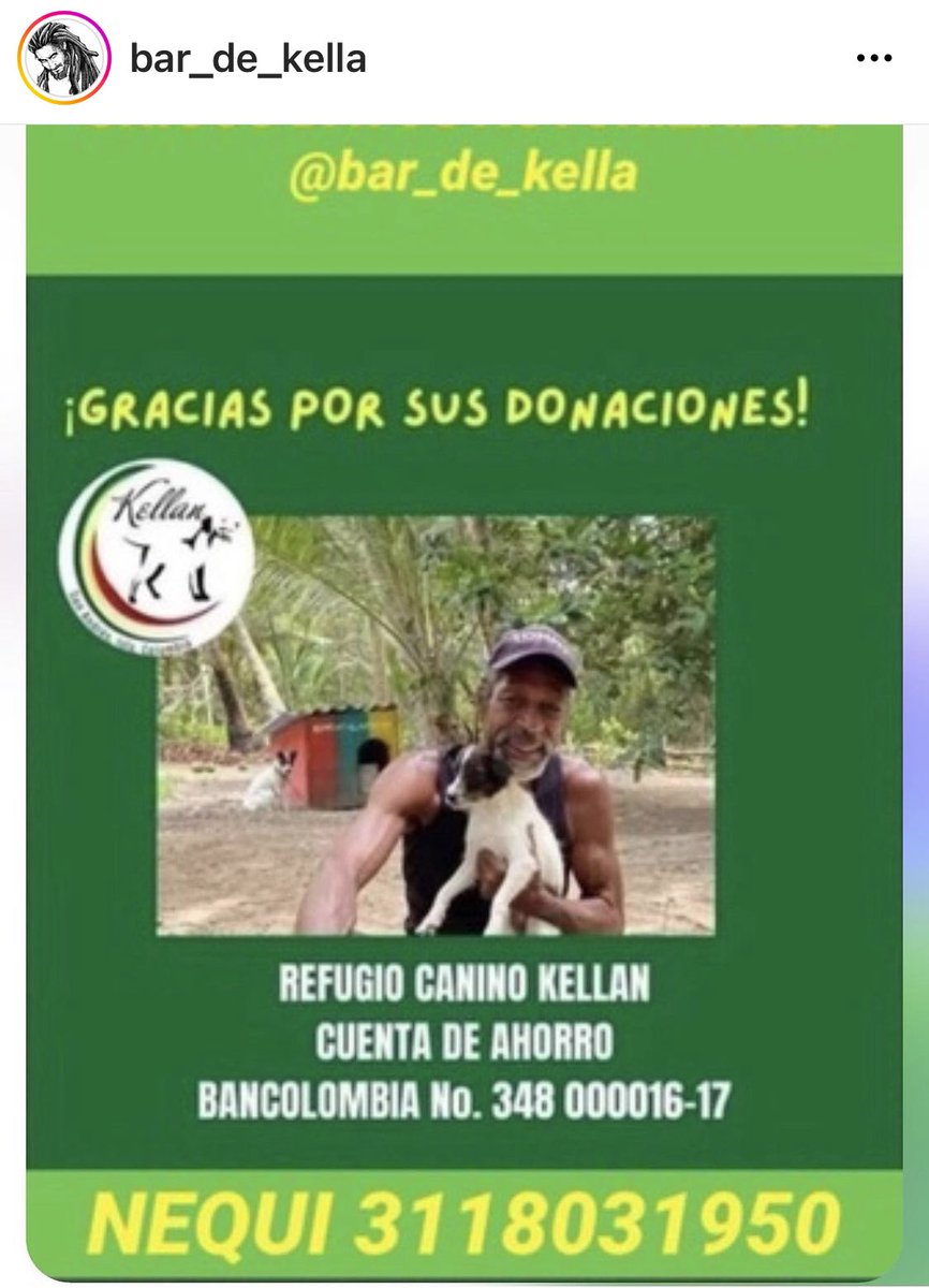 MONYRODRIGUEZOF's tweet photo. Por favor 🙏🏼 démosle una mano a @bar_kella su trabajo con los animales en la isla de San Andrés es invaluable y merece todo nuestro amor, agradecimiento y apoyo. 

🆘 Difundir por favor 

@andreanimalidad @piedrahitangela @juliherrerap @Marce_Tabares @margaritavela  @camilochara https://t.co/cU0Fg5FFsn