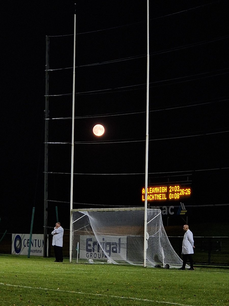 Mary K Burke tweet media