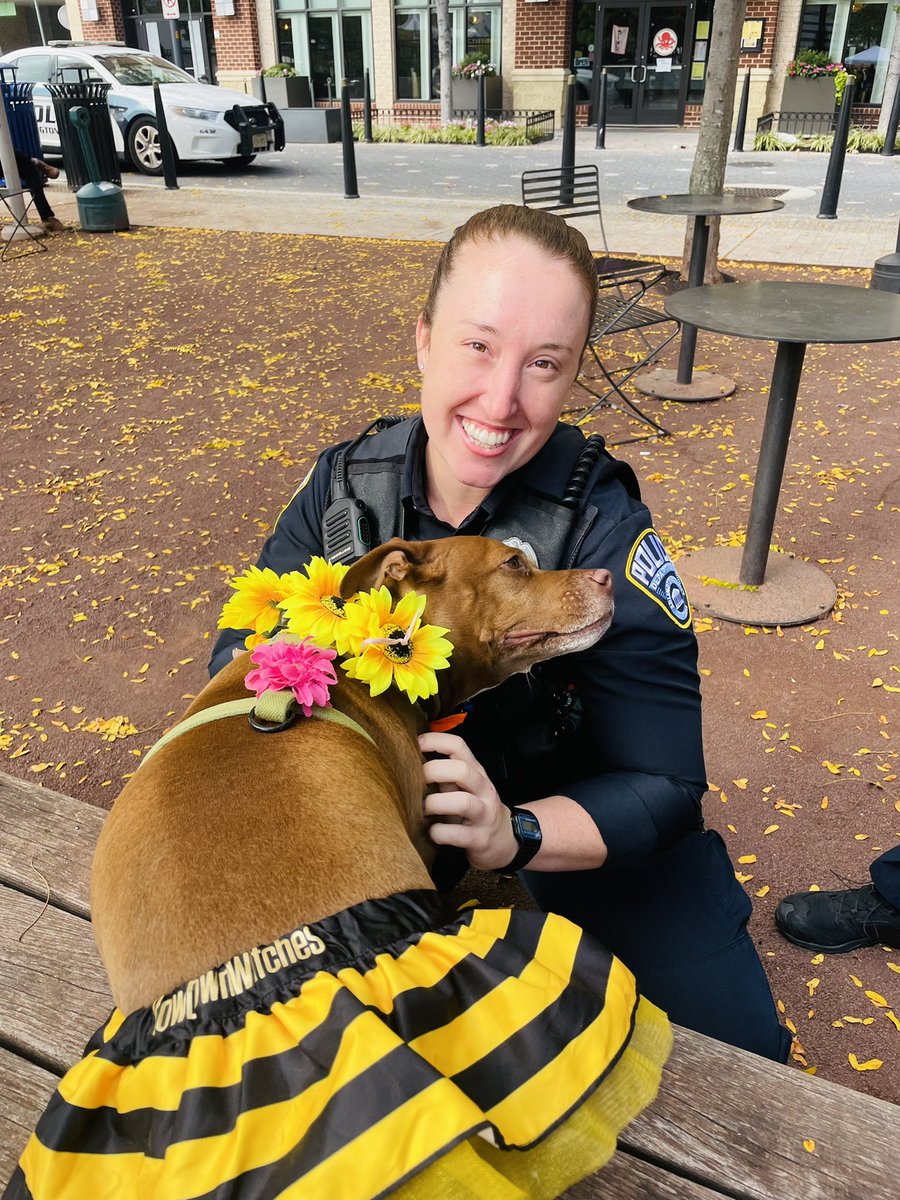 KimKlingler's tweet photo. Had a great time @columbiapikeva #pawsonthepike yesterday! 🐶

Thanks @ArlingtonVaPD for your service and the scratches! 🙏

Thanks to our sponsors, vendors, and all participants! 💝

#columbiapike #petfestival @penrosesquare #thankyou #cocothequeenbee 🐶👑🐝 https://t.co/cWziKJj5cf